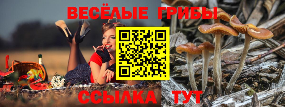 Псилоцибиновые грибы ЛСД Первоуральск